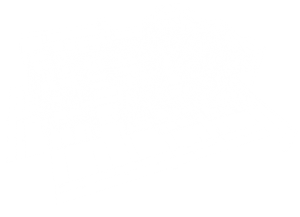 house-wire-model-fade-white